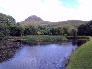 connemara national park