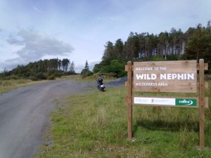 wild nephin